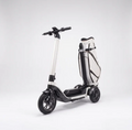 Kairven Eletric Golf Scooter